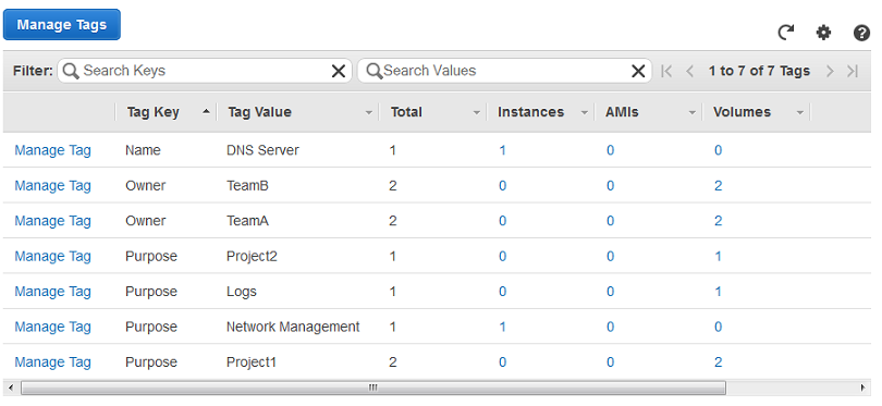 
						Amazon EC2 控制台中的“Tags (标签)”窗格
					